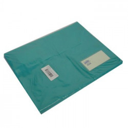 Envelope A4 Pvc Roma 141 com Visor Verde