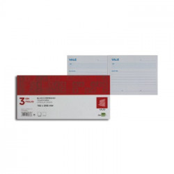 Blocos Impressos-Vale de Caixa- 205x112mm-1un