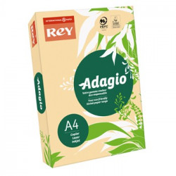 Papel Fotocopia Adagio(cd08) A4 80gr Salmao 1x500Fls