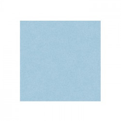 Papel Lustro Rolo 25 Folhas 50x65 Azul Palido