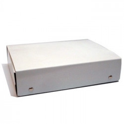 Caixa  Cromolux c/Botoes A4 31X23X7cm-1un