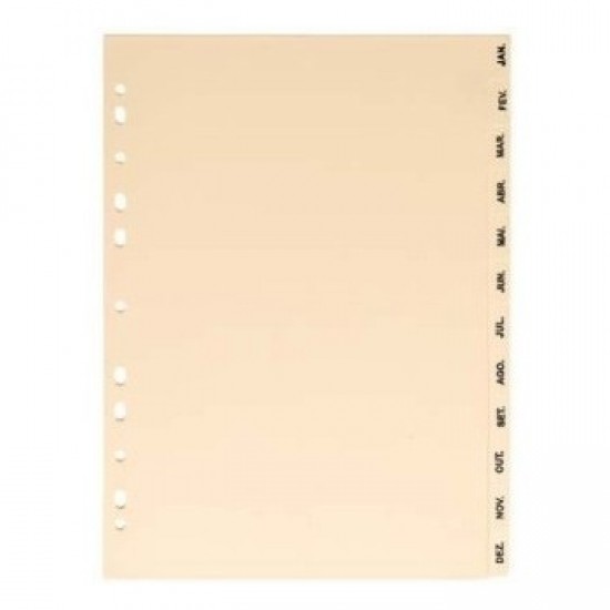 Separadores Cartolina 12 (Jan a Dez)