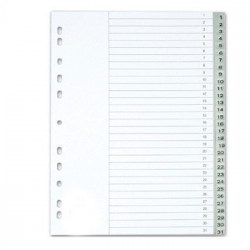 Separadores Plastico Numerados (1 a 31) (KF01898)