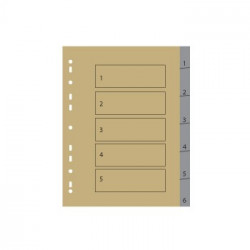 Separadores Plastico Numerados (1 a 6) 1un