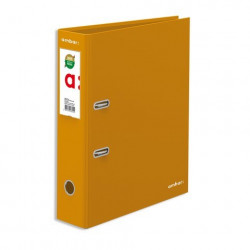 Pasta Arq Cor Lisa Ambar L/L Din Amarelo