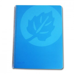 Caderno Espiral Capa PP A4 Pautado 120fls Cores Sortidas