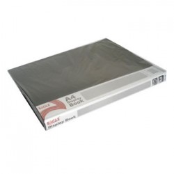 Pasta c/40 Bolsas Catalogo Eagle Transparente Azul